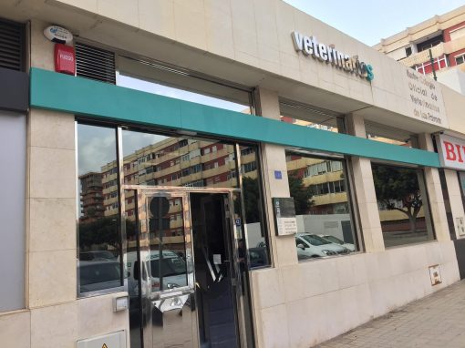 Lámina 3M para reducir al calor en el Colegio Oficial de Veterinarios de Las Palmas